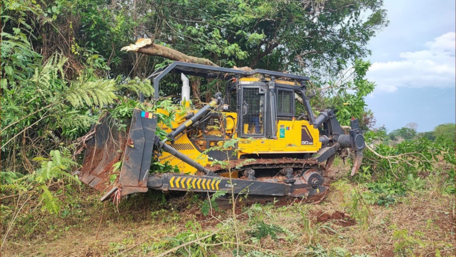buldozer