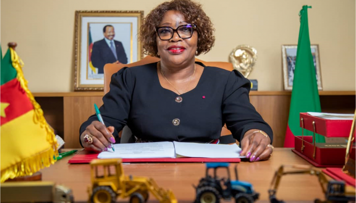 PHOTO DG CENEEMA